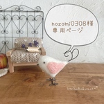 nozomi0308様専用ページです！