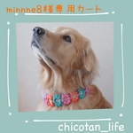 ⭐︎minnne8様専用カート⭐︎他の方のご購入はお控えください