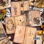 ▼▲決算SALE▼▲送料無料【P192コラージュ素材】海外紙モノ　デザインペーパー　ヴィンテージ  手帳　ジャンクジャーナル　スクラップ