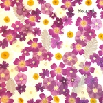 ♡new♡作家様必見♡押し花MIXセット♡押し花セット
