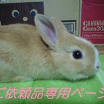 juns0713様専用ページ