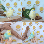 ことちゃん・みるちゃんお迎えページ_ちっちゃリアルな愛鳥オーダーメイド