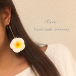 贅沢プルメリア