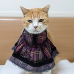 ベリー色チェックドレス