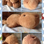 カピバラ