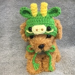 2024年辰年🐲タツの帽子🐲小型犬用帽子・プードル用