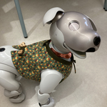 aiboちゃんのどんぐりゴロゴロ 柄トップス　aibo's tops Autumn color ウエストタブ付き