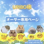 URIBO様専用オーダーページ すもあに開閉式らーじハウス