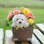 花畑の犬【イエロー系】プリザーブドフラワー ／ 花っぷりフラワーペット　カーネーション 犬 動物  花 プレゼント お祝い 母の日 誕生日 