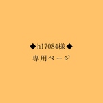 h17084様専用ページ