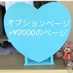 オプション¥2000のお買い上げページ