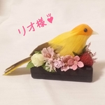 インテリアライト「ぴちちッ」きいろ♪