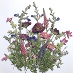 押し花　限定1セット⑤