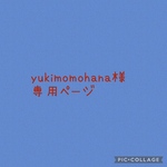 専用ページ