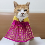 ピンクチマチョゴリ