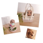 la bijou様専用♡おすわりわんこ『うちの子オーダー』おでかけバッグ(mii._.wool)