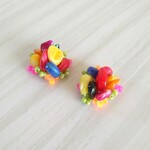 か ら ふ る　ピアス　イヤリング