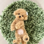 羊毛フェルト　トイプードルレッドのパピー　寝転びポーズ