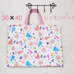 レッスンバッグ♡絵本バッグ　カバン　お稽古バッグ　トート バッグ　手提げ　鞄　シンデレラ　ピンク