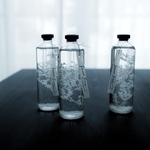 花咲くストームグラス＊SnowTree