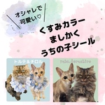 ◎おまけ付き！◎くすみカラーがオシャレ　うちの子ましかくシール　ステッカー　犬　猫　赤ちゃん　子ども