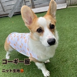 コーギー服　パン柄タンクトップ