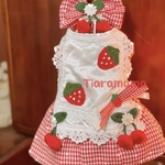 💐専用出品💐