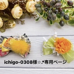 ワンコ用リボン♡和装2点✧︎✧︎