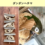 ダンダンヘチマ🥒でサクサク&ブチブチ破壊♪