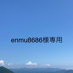 🌿天然石🌿　　ラブラドライト、ライモナイト