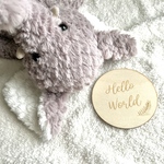 ✭木製プレート✭　ハローベビー　木製バナー　ニューボーンフォト　hello baby