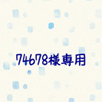 74678様専用