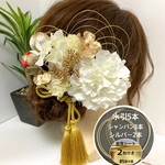 ダリア　ホワイト　★保管箱付★ 髪飾り 成人式  振袖　和装　結婚式 卒業式 袴　金箔　華まるる　