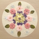 押し花セットC＜組み立ての花＆ビオラ＆レースフラワー他＞