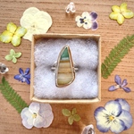 14号【✖︎サイズ調整不可】《silver925》opalized  wood ✴︎  ring ❁