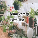 primevere様専用ページ