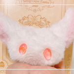 ふわきつね🦊🤍