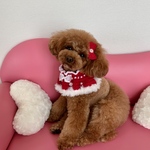 (専用品)クリスマスケープ♡ブラックケープ