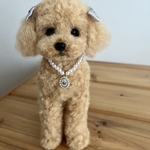 羊毛フェルト　トイプードルのアプリコット