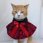 パーティークイーンコスプレ