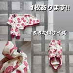 イタグレ　イタグレの服　イタグレ服