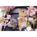 2024年 たわしちゃん＆ダスキンちゃん卓上カレンダー