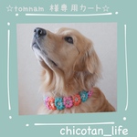 ⭐︎ tomnam 様専用カート⭐︎他の方のご購入はお控えください