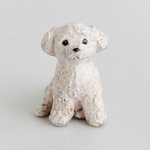 マルチーズ（maltese）