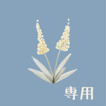 専用