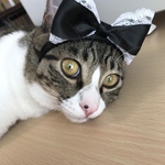 ＊kuutarou00様専用＊