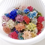 【カラフルミックス】かすみ草ドライフラワー
