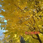 ※送料無料※ ハーバリウムボールペン　専用