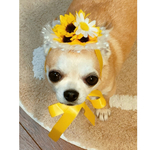 犬 ひまわり 花冠 ♡ 猫 ペット 帽子 ヘッドドレス カチューシャ 被り物 かぶりもの マーガレット 誕生日 うちの子記念日 リボン  花 冠 バースデー