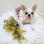 犬 SSサイズ ニット マフラー ♡ 猫 マフラー ペット マフラー ぽんぽん 犬 スタイ 猫 首輪 ネックレス ボーダー